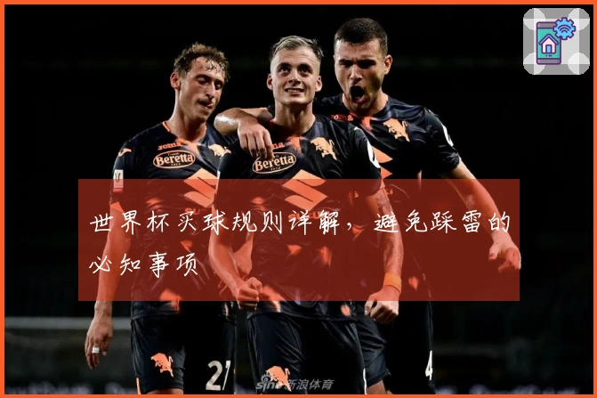 世界杯买球规则详解，避免踩雷的必知事项