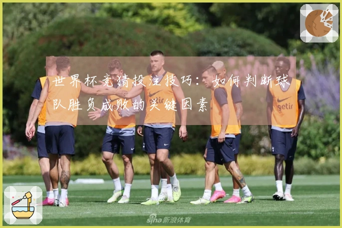 世界杯竞猜投注技巧：如何判断球队胜负成败的关键因素