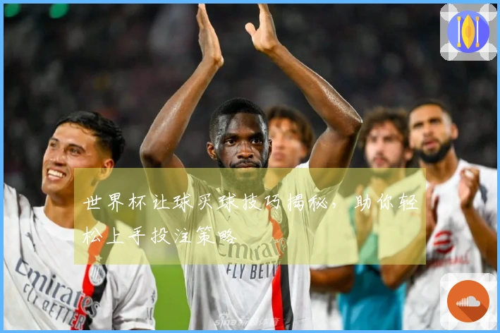 世界杯让球买球技巧揭秘，助你轻松上手投注策略