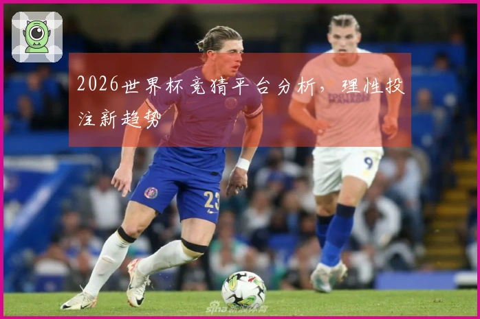 2026世界杯竞猜平台分析，理性投注新趋势