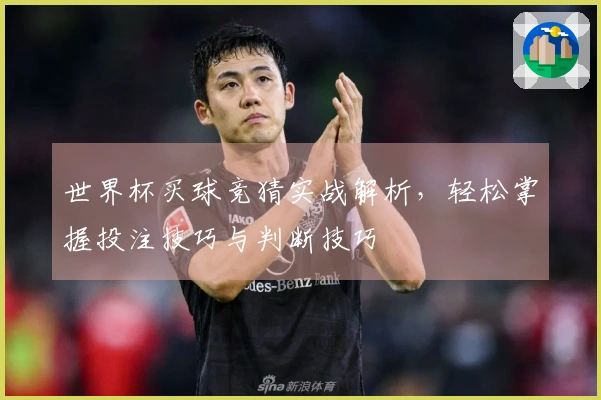 世界杯买球竞猜实战解析，轻松掌握投注技巧与判断技巧