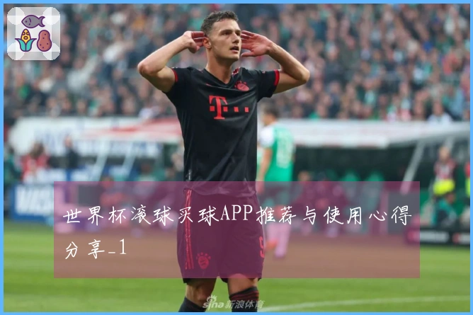 世界杯滚球买球APP推荐与使用心得分享_1