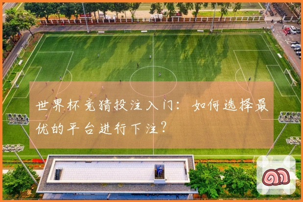 世界杯竞猜投注入门：如何选择最优的平台进行下注？