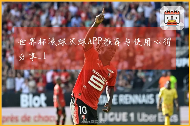 世界杯滚球买球APP推荐与使用心得分享_1