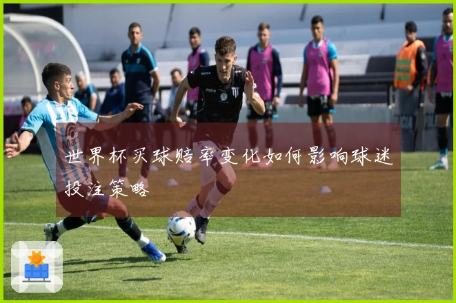 世界杯买球赔率变化如何影响球迷投注策略