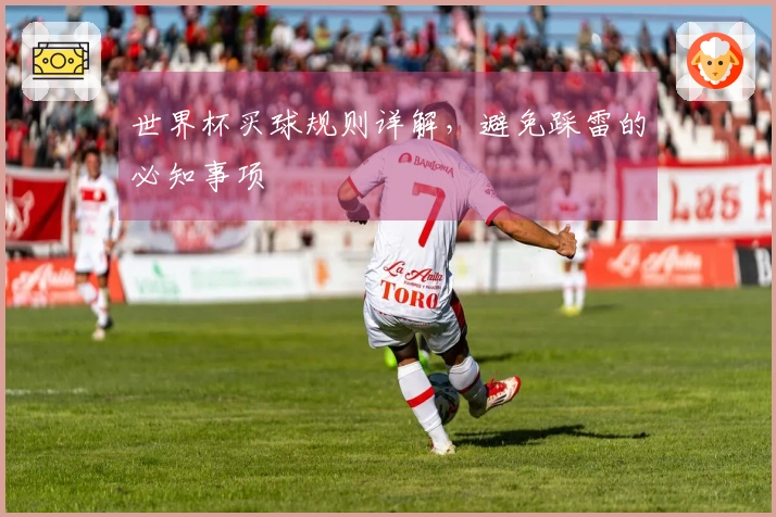世界杯买球规则详解，避免踩雷的必知事项