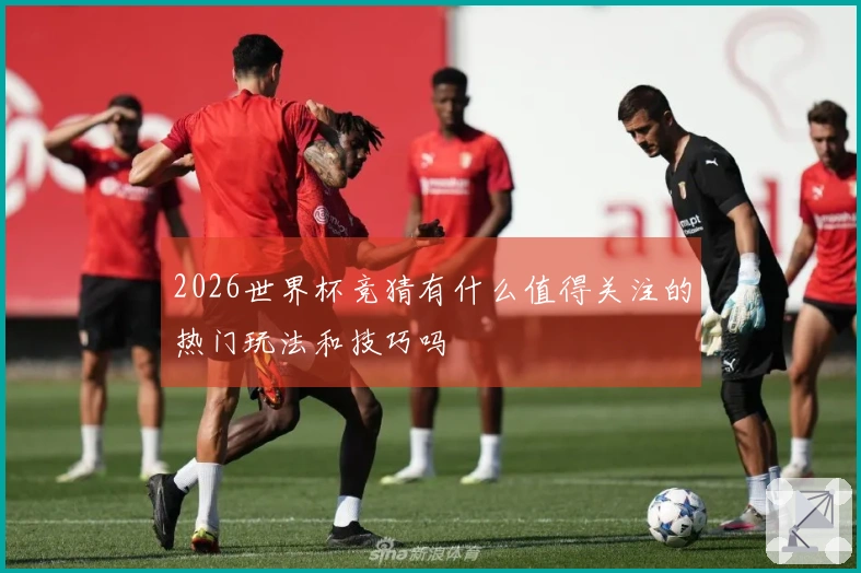 2026世界杯竞猜有什么值得关注的热门玩法和技巧吗